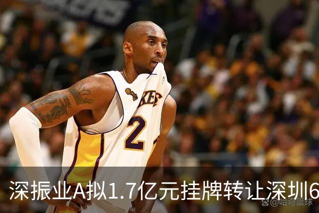 深振业A拟1.7亿元挂牌转让深圳6项自有物业 总面积8410.1㎡