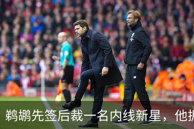 鹈鹕先签后裁一名内线新星，他拥有不错的护筐和内线防守能力？