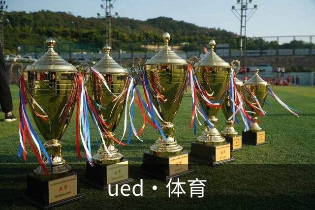 ued·体育公司简介图片